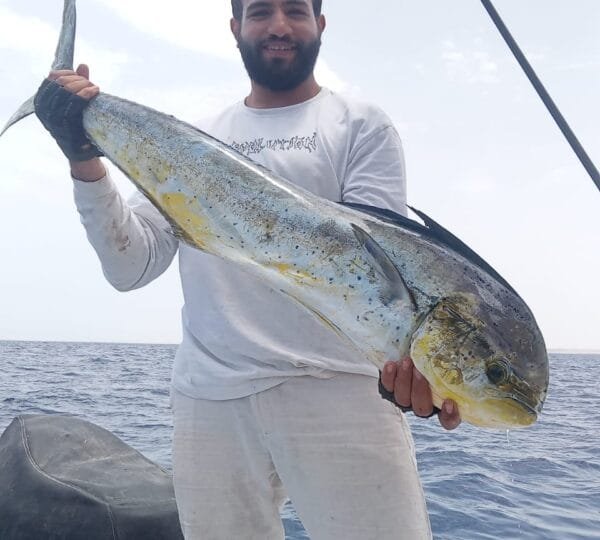 Hurghada fishing