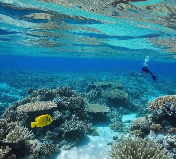 Hurghada Trips and Tours