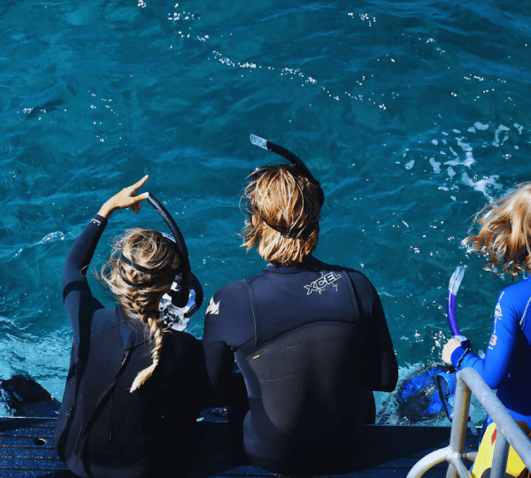 Full Day Professional Diving , Snorkeling Boat Trip