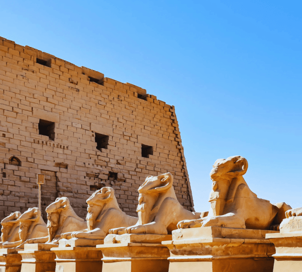 Karnak and Luxor Temples Private Half-Day Tour