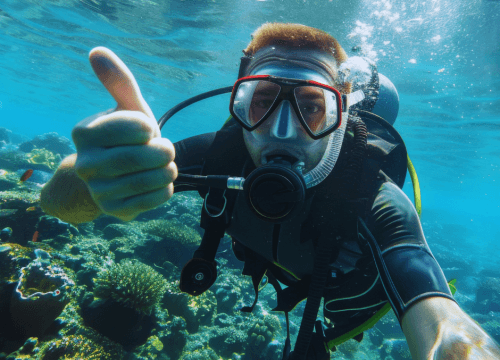 Full Day Professional Diving , Snorkeling Boat Trip