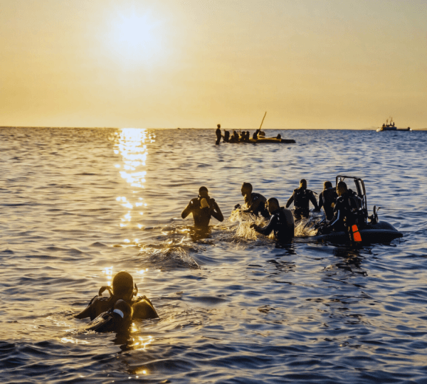 Snorkeling Adventure at Mnemba Reef