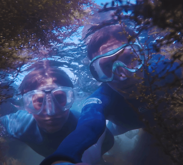 White Island and Ras Mohamed Snorkelling Trip