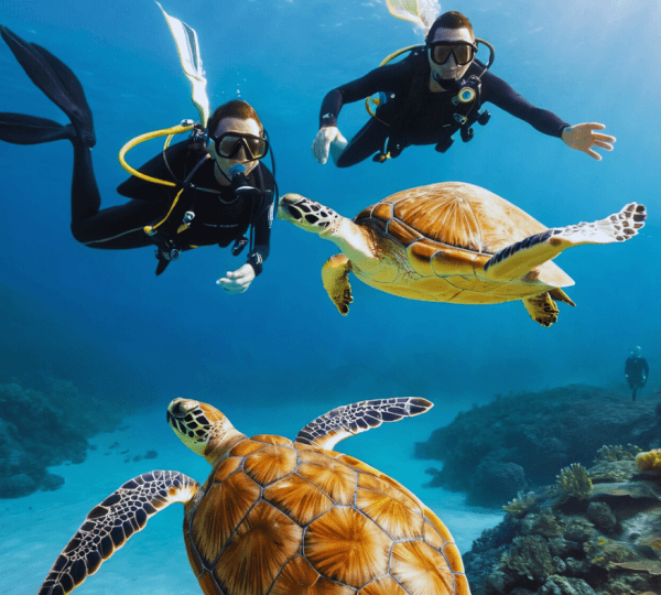 Diving Adventure at Mnemba Reef