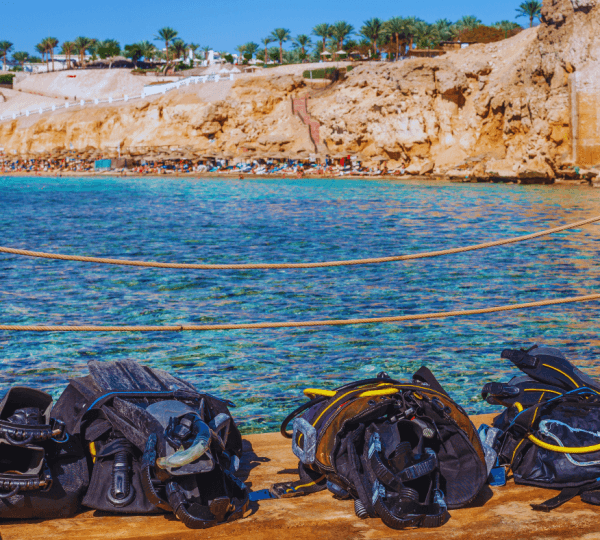 Colored Canyon, Blue Hole and Dahab Day Trip