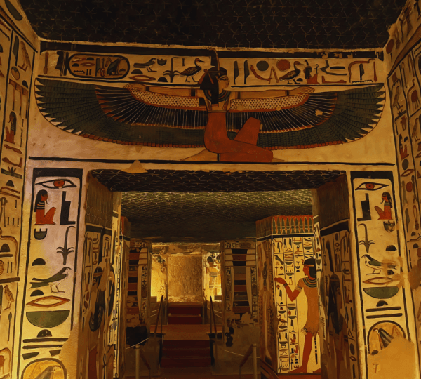 Guided Tour to East and West Banks with Lunch