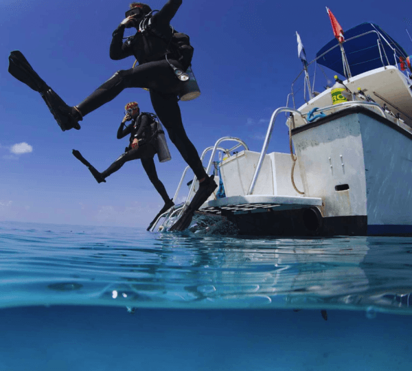 Intro Diving 2 Stops