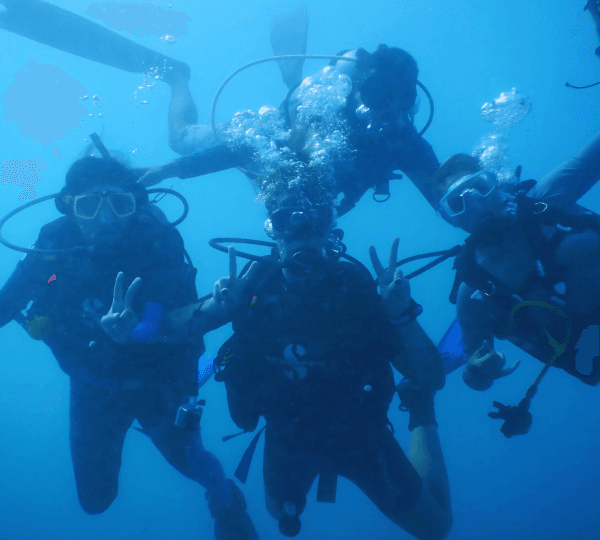 Intro Diving 2 Stops