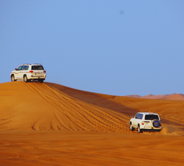 Desert Safari Adventure