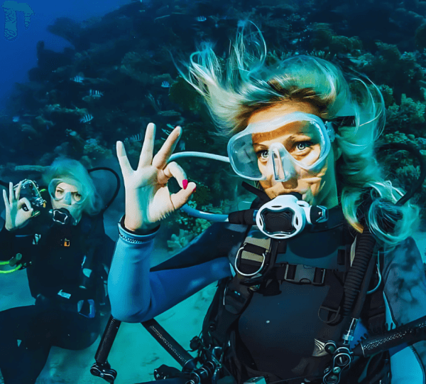 Intro Diving 2 Stops