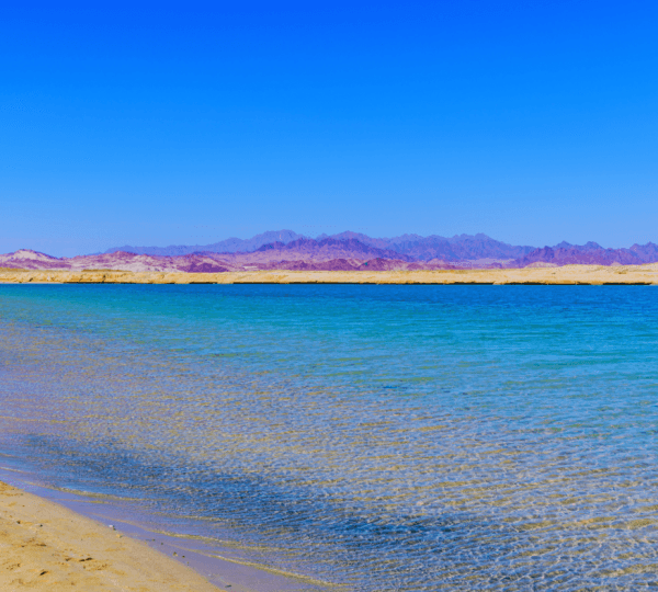 White Island and Ras Mohamed Snorkelling Trip