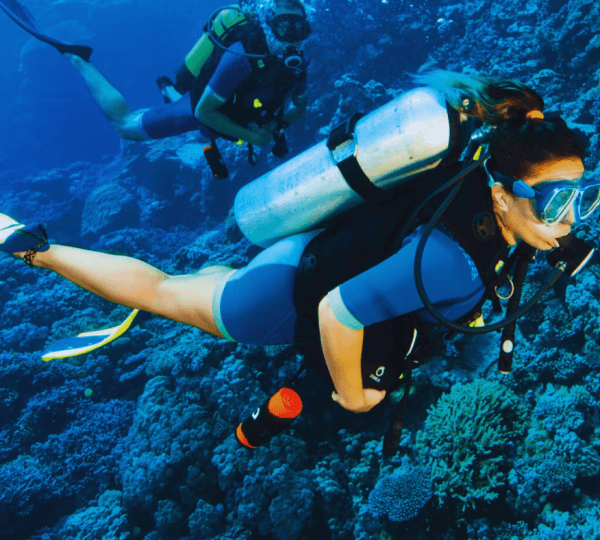 Intro Diving 2 Stops