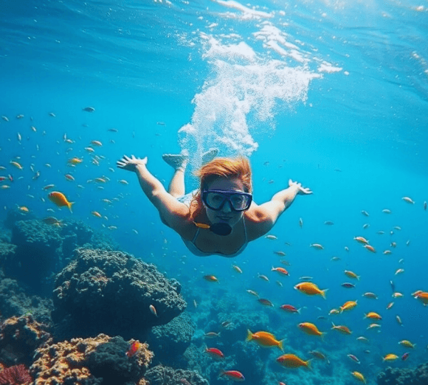 Red Sea Coastal Adventure