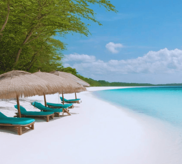 Snorkeling Adventure at Mnemba Reef