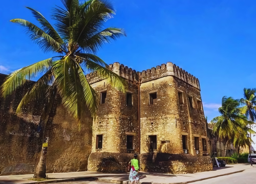 Golden Age of Zanzibar with Evening of History Stone Town - Flavor - Local Vibes