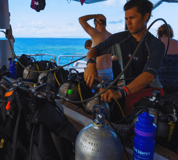 Intro Diving 2 Stops