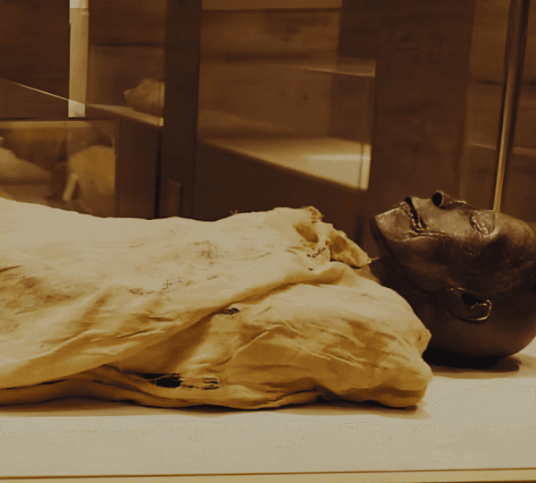 Private Tour To Mummies Museum, Citadel, Old Cairo