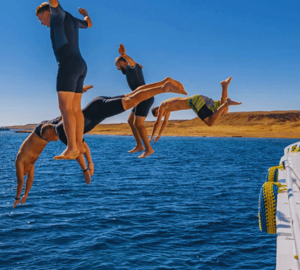 White Island and Ras Mohamed Snorkelling Trip