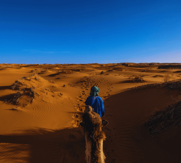 Desert Safari Adventure