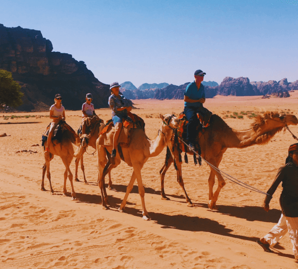 Super Safari ATV, Camel Ride with BBQ Dinner and Show
