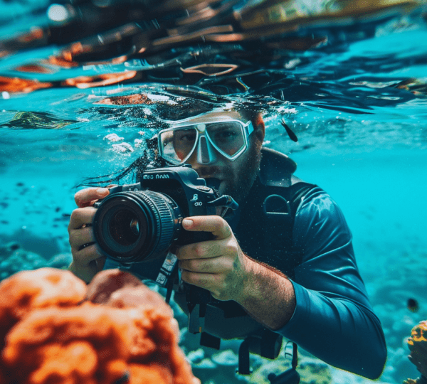 Full Day Professional Diving , Snorkeling Boat Trip