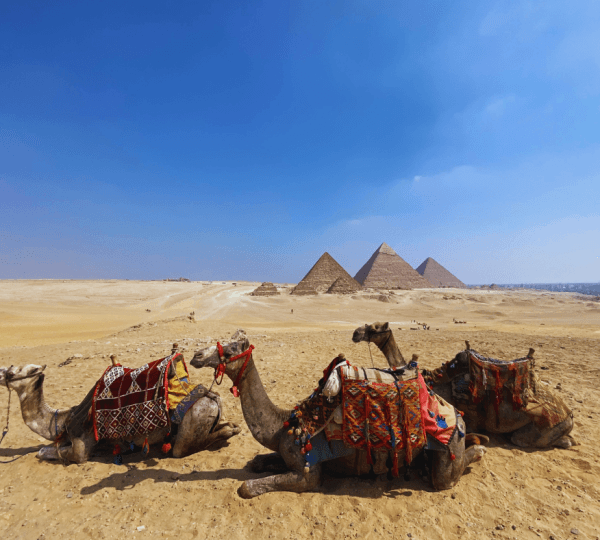 Pyramids of Giza, Sphinx, Saqqara And Memphis Tour