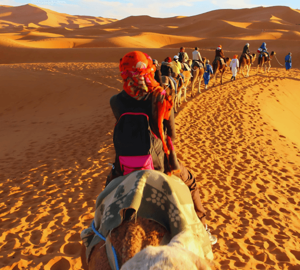 Super Safari ATV, Camel Ride with BBQ Dinner and Show