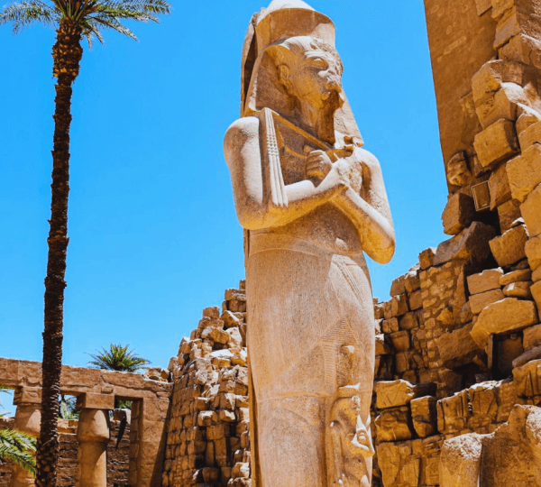 Karnak and Luxor Temples Private Half-Day Tour