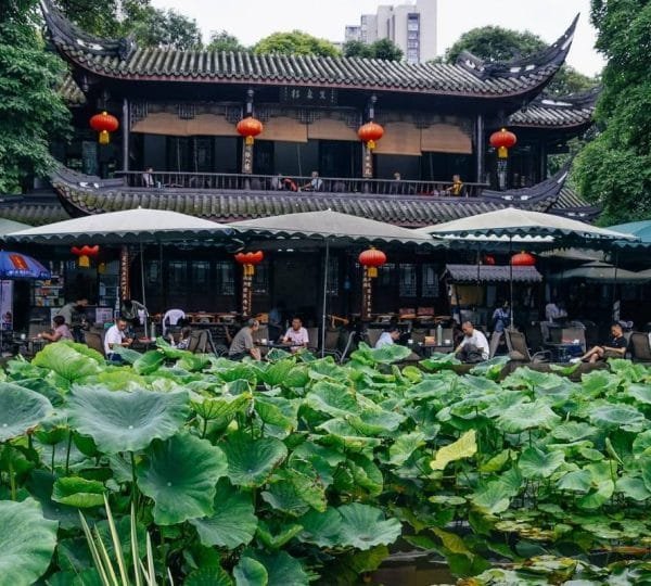 12 Day's for Real China Highlights