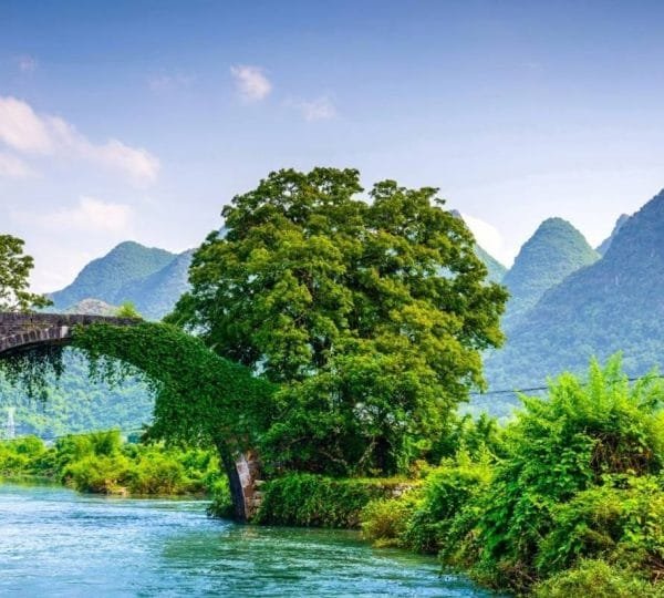 Real China 12 Day's for Real China HighlightsHighlights