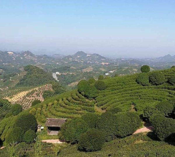 12 Day's for Real China Highlights