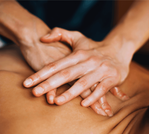 Safari Adventure With Camel Ride & One Hour Full Body Massage