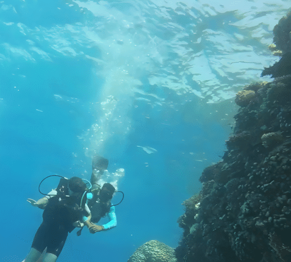 Luxury Diving Escape: Hurghada & Marsa Alam – 8 Days / 7 Nights