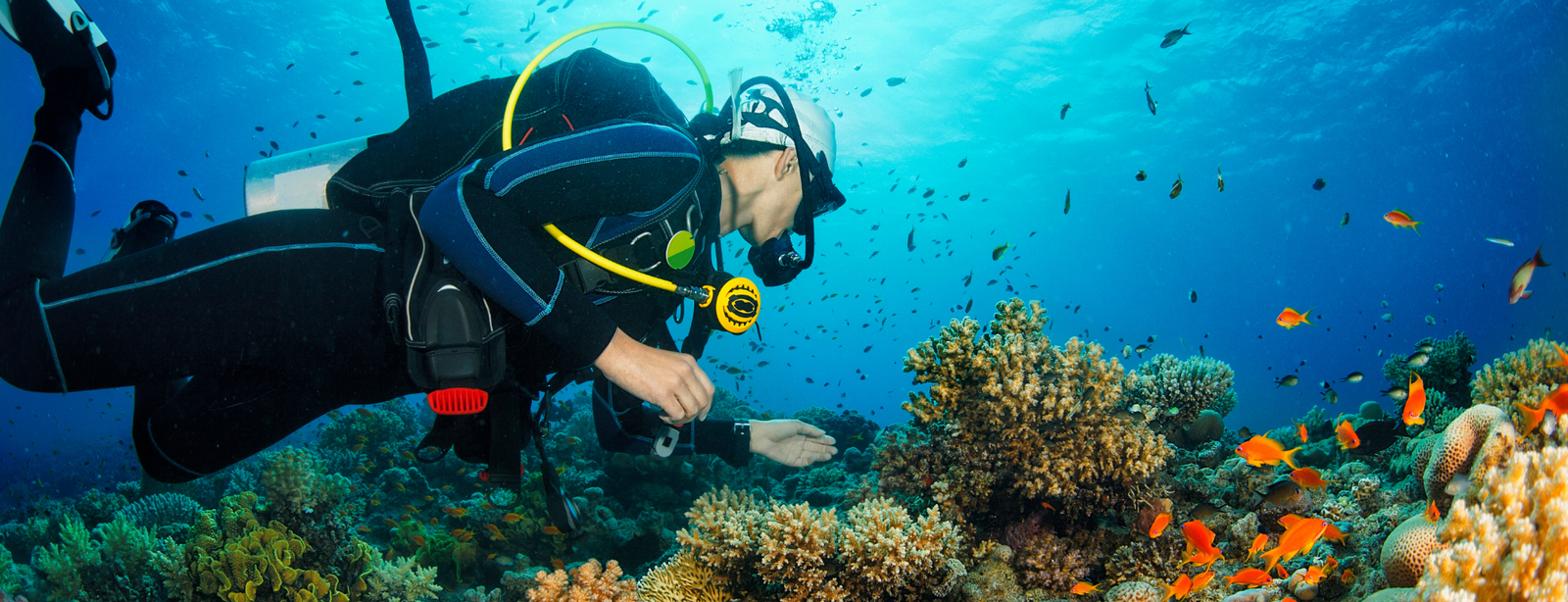 Luxury Diving Escape: Hurghada & Marsa Alam – Red Sea’s Finest