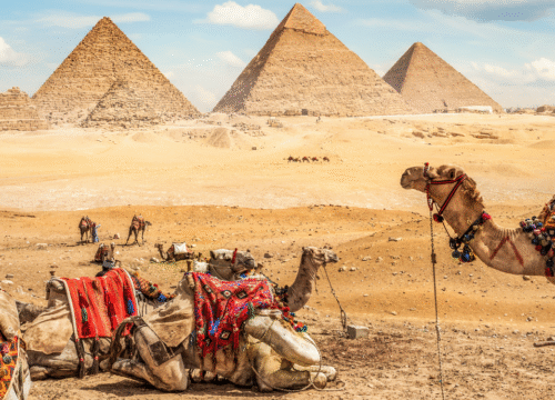 Pyramids & Red Sea Diving Adventure