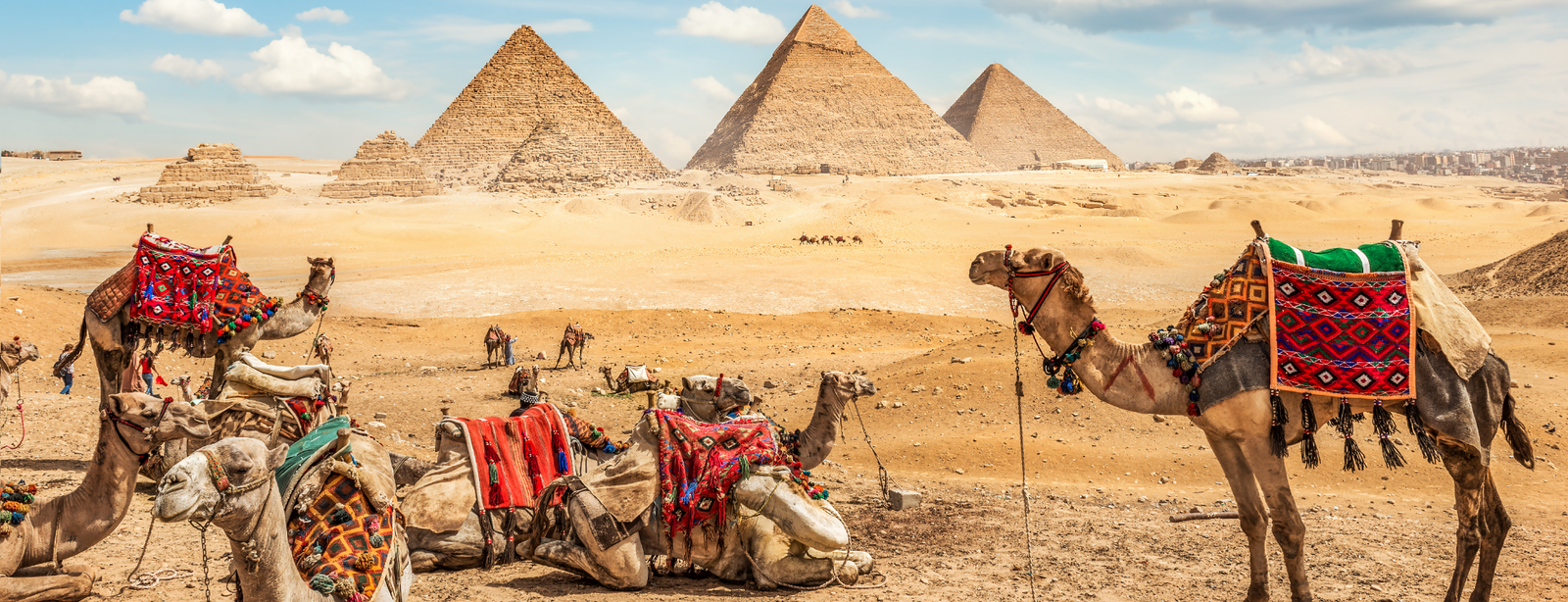 Pyramids & Red Sea Diving Adventure