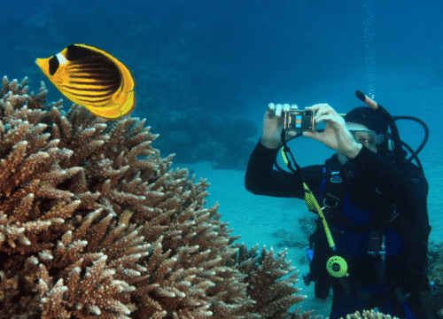 Luxury Diving Escape: Hurghada & Marsa Alam – 8 Days / 7 Nights