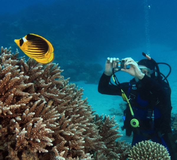 Luxury Diving Escape: Hurghada & Marsa Alam – 8 Days / 7 Nights