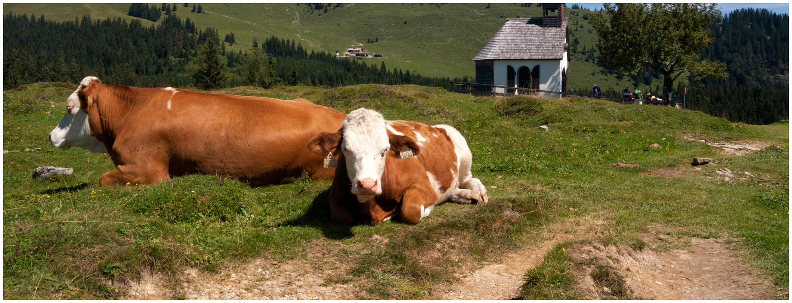 Mountain Walking in the Heart of Salzkammergut – Family-Friendly Hiking Holiday in Austria