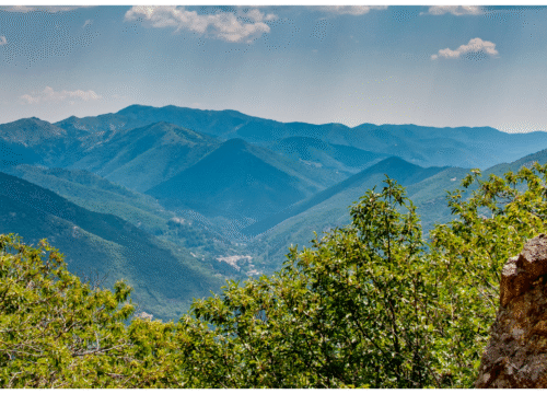 Walking the Stevenson’s Way – 12 Days Across the Cévennes with a Touch of History