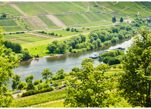 The River Mosel Trails & Roman Pathways – 5-Day Wine & Culture Journey