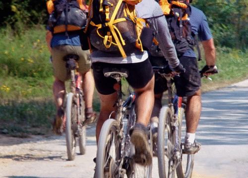 Cycling Holiday: Salzburg ➝ Vienna