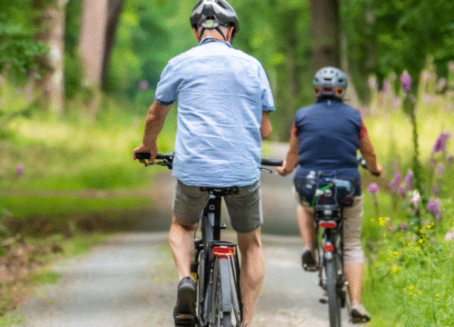 Cycling Holiday from Vienna to Budapest