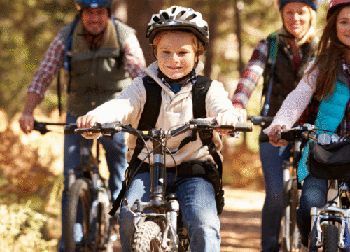 Family Cycling Holiday Along the Danube: Linz to Vienna