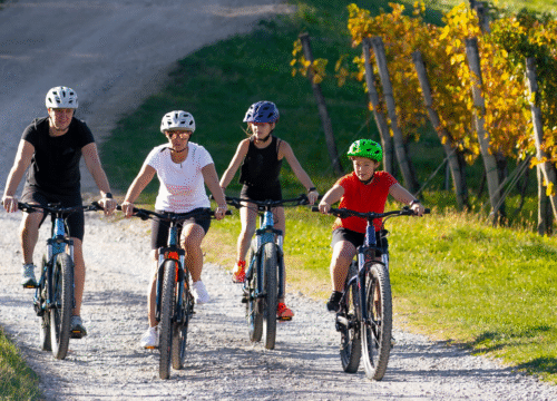 Cycling Along the Danube: From Passau to Vienna – Europe’s Most Iconic Bike Route
