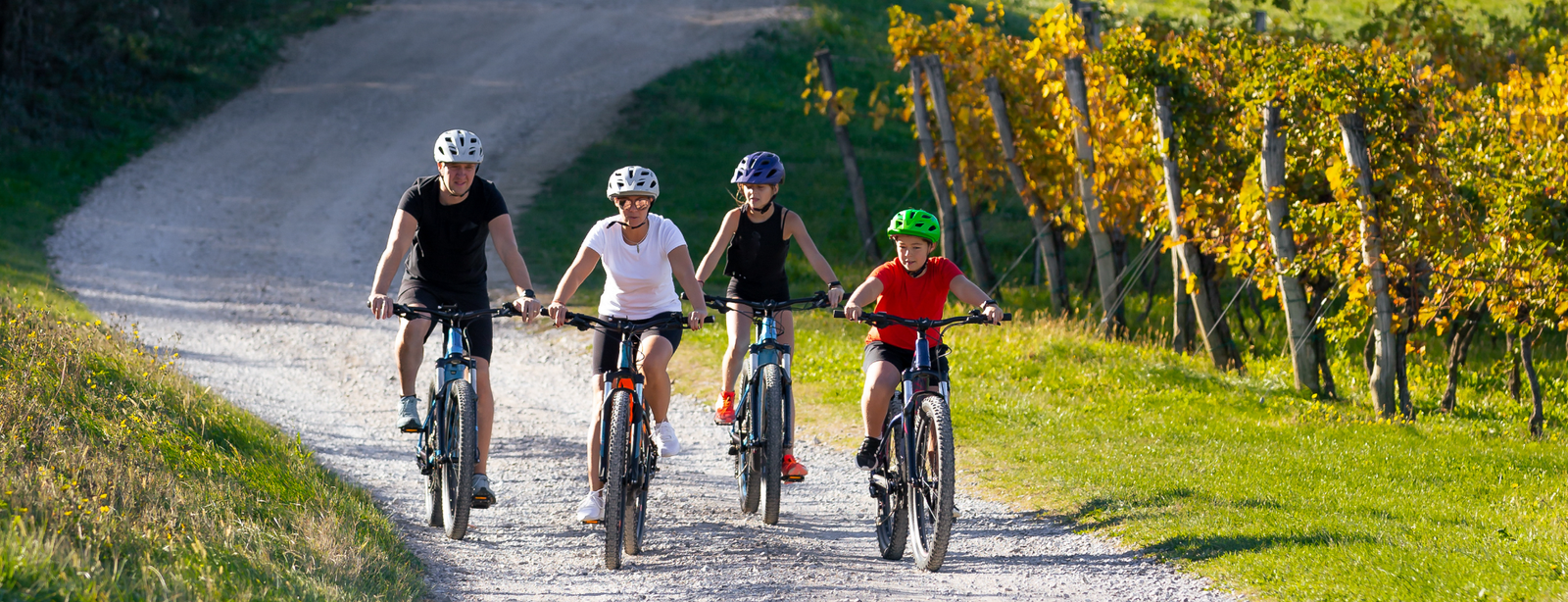 Cycling Along the Danube: From Passau to Vienna – Europe’s Most Iconic Bike Route