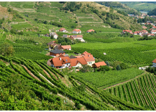 Hiking the Wachau World Heritage Trail – 5 Days of Nature, Wine & History