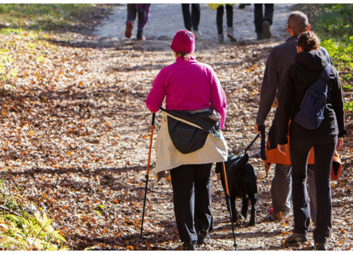 The Lechweg Trail: From the Source to the Castles of Füssen – 8 Days Hiking Adventure