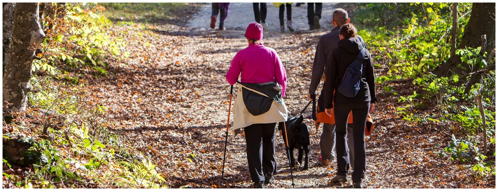 The Lechweg Trail: From the Source to the Castles of Füssen – 8 Days Hiking Adventure