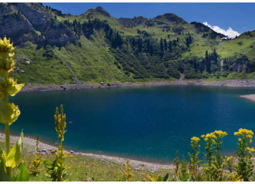 The Lechweg Trail: From Formarinsee to Füssen – 100 km of Alpine Bliss
